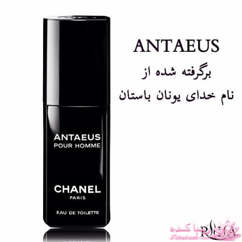 معرفی بهترین عطر و ادکلن ها