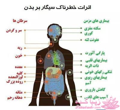 اثرات خطرناک سیگار بر بدن