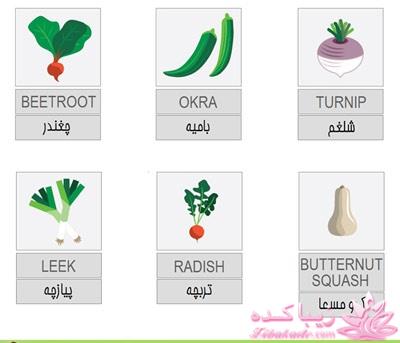 آموزش زبان انگلیسی با عکس
