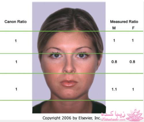 جراحی بینی - جراحی زیبایی