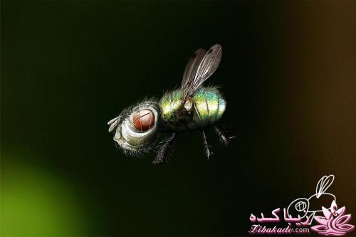 نقاشی بچه ها وقتی واقعی بشه اینشکلی میشه 