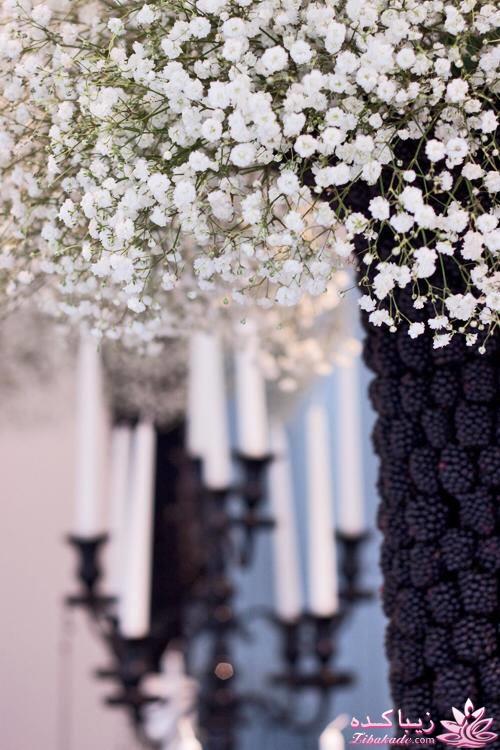 ♥تالار و باغ ♥