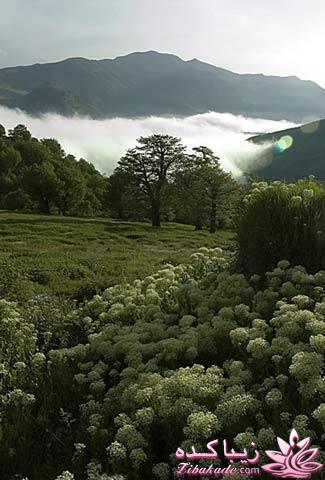 مسابقه عکاسی زیباکده ای مورد حمایت فروشگاه پانوراما**ویژه دریافت عکس**