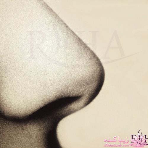 معرفی بهترین عطر و ادکلن ها