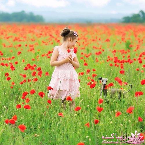 *حرفای جالب*