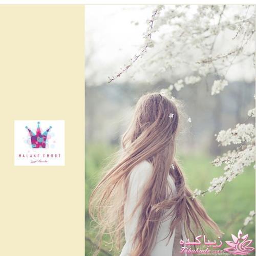 رنگ مو، آموزش ترکیب رنگ مو