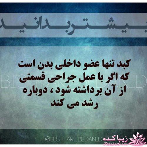 بیشتر بدانید