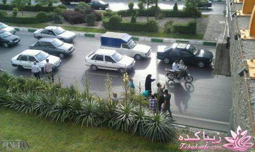 زن جوان در مشهد خودش را از بالای پل پرت کرد