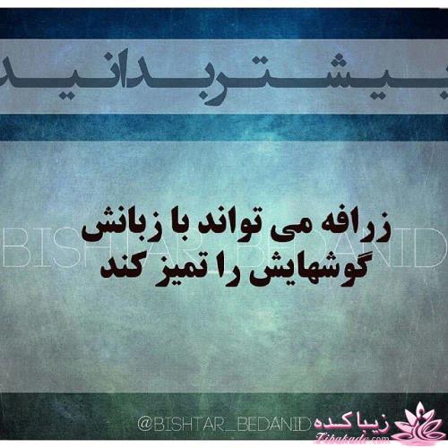 بیشتر بدانید