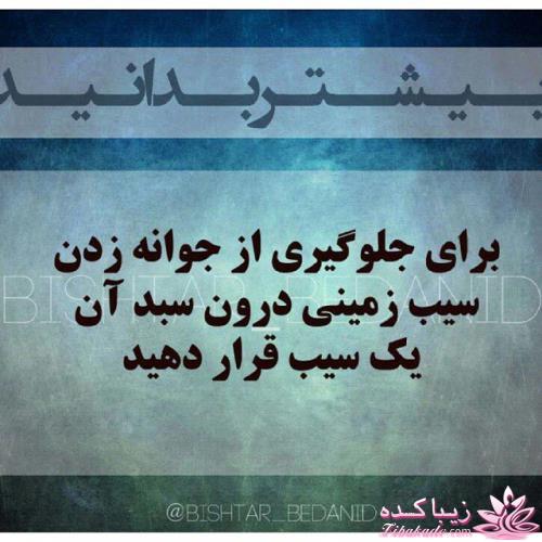 بیشتر بدانید