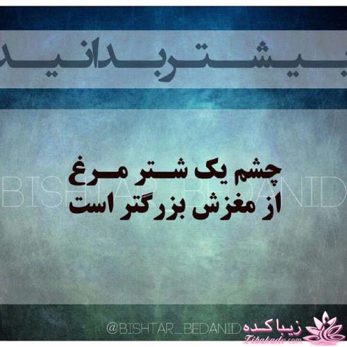 بیشتر بدانید