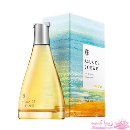 معرفی بهترین عطر و ادکلن ها