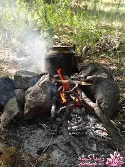 .:آلبوم عکسهای خودگرفته ما:.