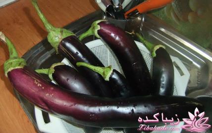 غذای های گیلان 