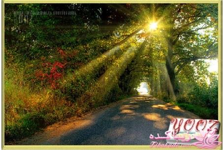 ادکلنهای یوز -یک فروشگاه همراه