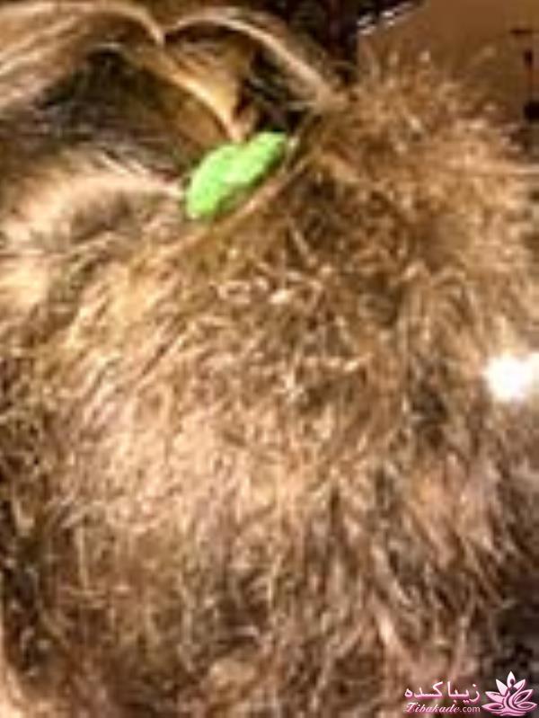 رنگ مو، آموزش ترکیب رنگ مو