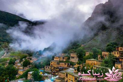 كافه گفت وگو ...