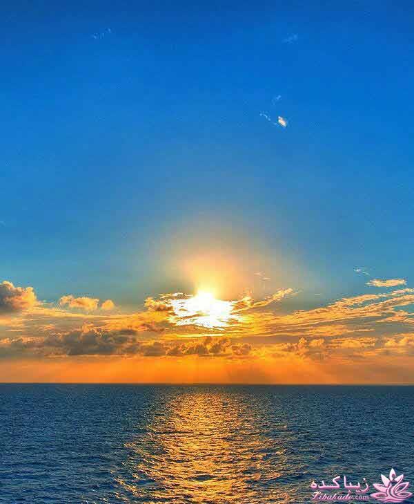 كافه گفت وگو ...