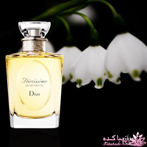 معرفی بهترین عطر و ادکلن ها