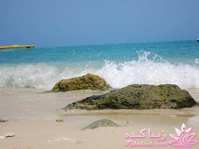 .:آلبوم عکسهای خودگرفته ما:.