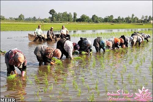 عکس های جالب