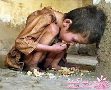 نمایشگاه احساس