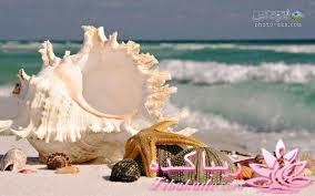 دنیای زیر آب