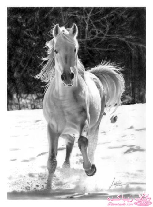 هنر آرامبخش نقاشی...