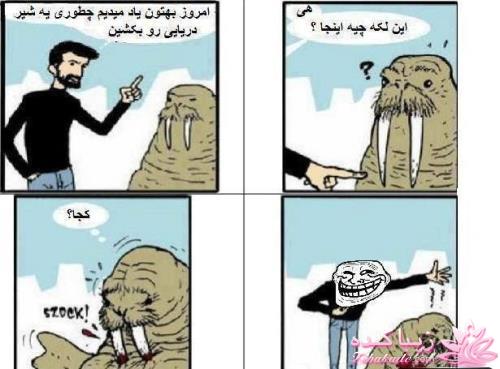 مجله سرگرمی زیباکده