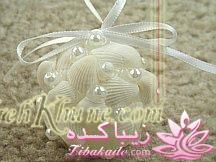 عروسای خانمای سال شگون نمیخواین ؟؟؟؟؟؟؟؟؟؟