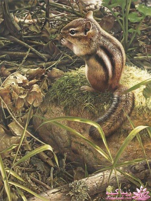 هنر آرامبخش نقاشی...