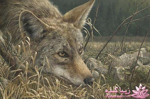 هنر آرامبخش نقاشی...