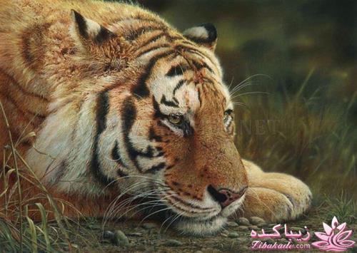 هنر آرامبخش نقاشی...