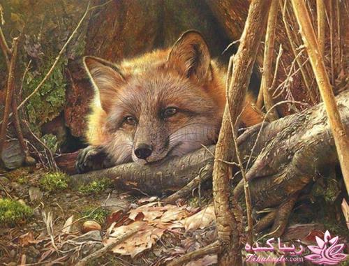 هنر آرامبخش نقاشی...