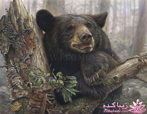 هنر آرامبخش نقاشی...