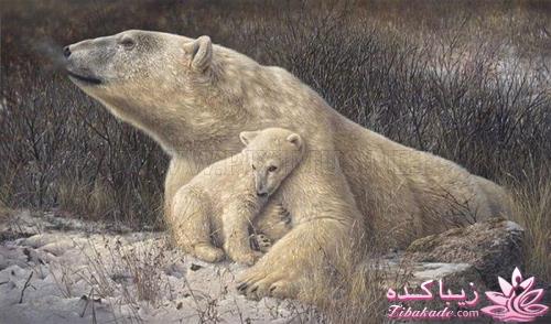 هنر آرامبخش نقاشی...