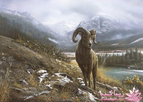 هنر آرامبخش نقاشی...