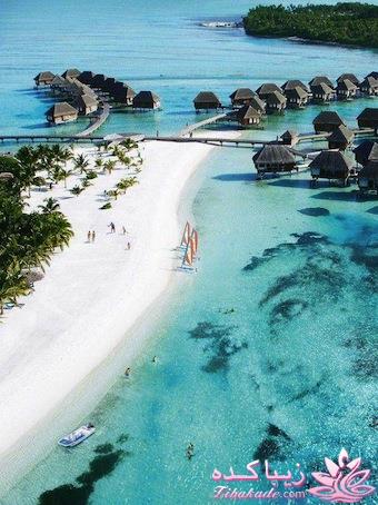 نکته عکس رو گرفتی؟؟؟؟