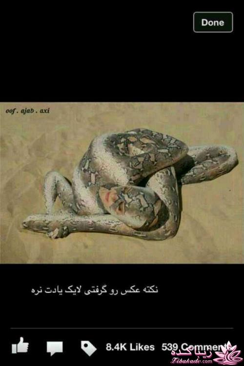 نکته عکس رو گرفتی؟؟؟؟