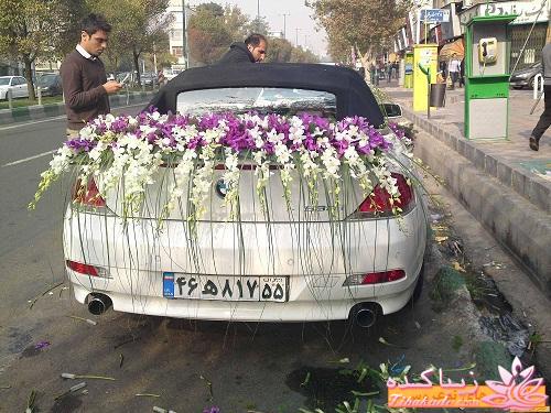 خاص ترین ماشین های تهران 