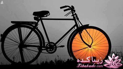 عکس های جالب