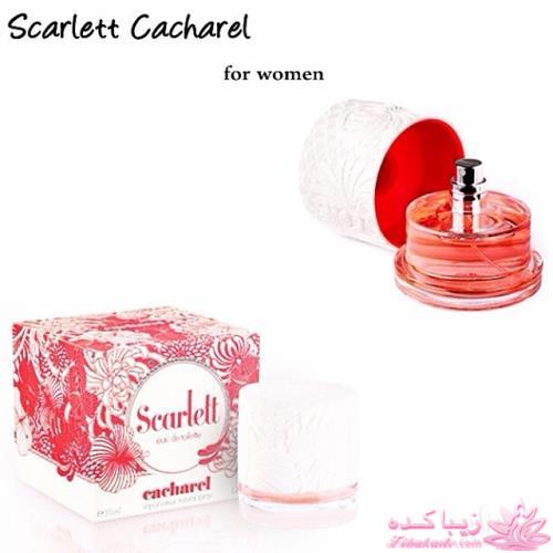 معرفی بهترین عطر و ادکلن ها