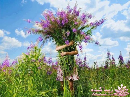 فنگ شویی(Feng Shui)