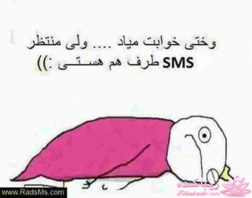 کیا دوست دارن با هم دوست شیم