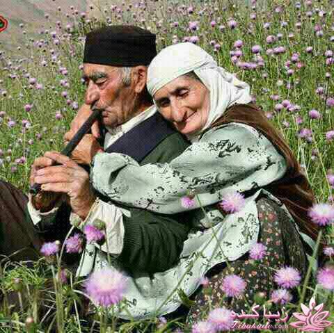 هر چی دلت خواست