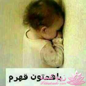 كافه گفت وگو ...