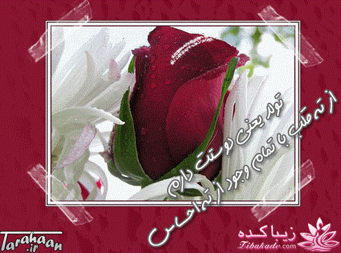   آبجی تولــــــــــــدت مبــــــــــارک**