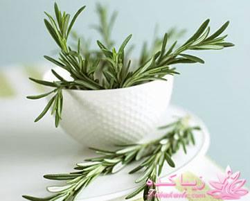 مراقب سلامتی خود باشید