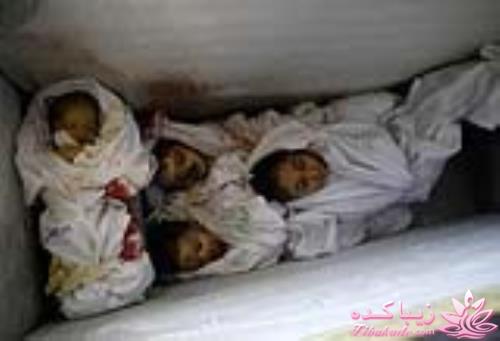 »»»»»»»»» حامیــــان غـــــــــــــــزه ««««««««