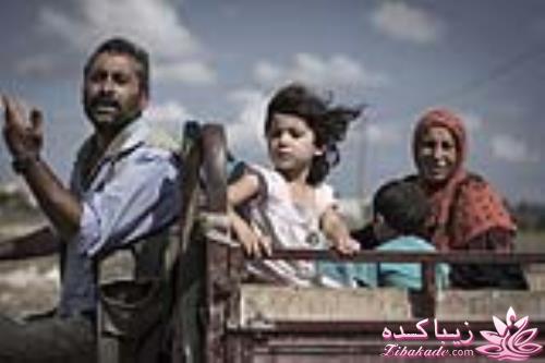 »»»»»»»»» حامیــــان غـــــــــــــــزه ««««««««